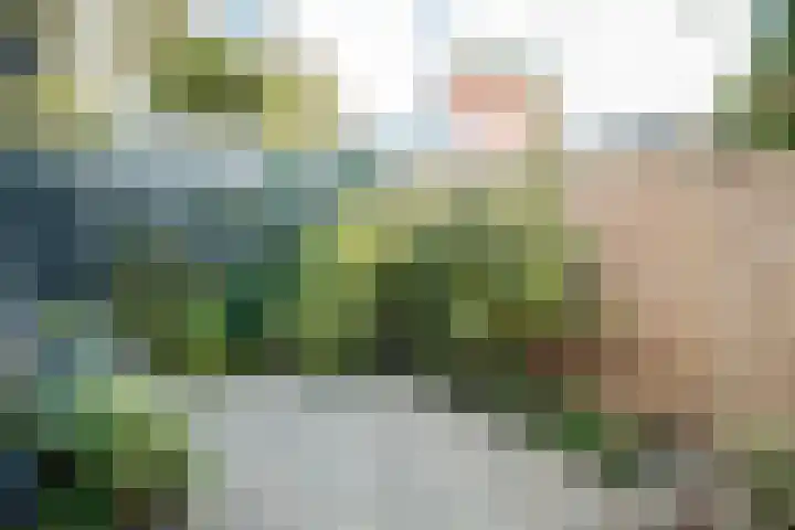 Meester Kraaistraat 8 Den Burg thumbnail 7