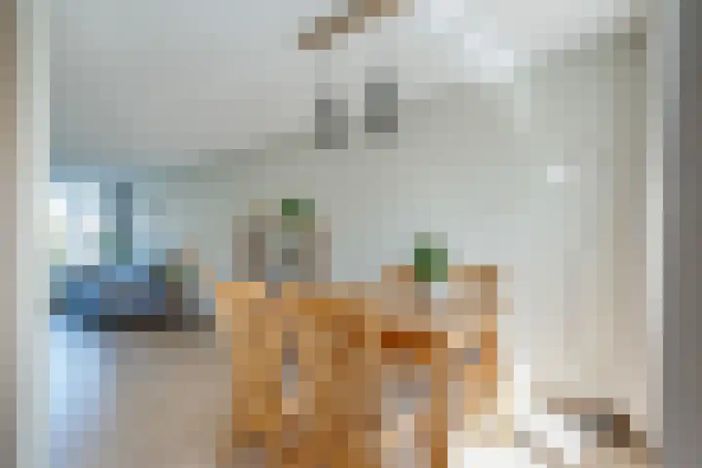 Meester Kroezestraat 10 Vollenhove thumbnail 16