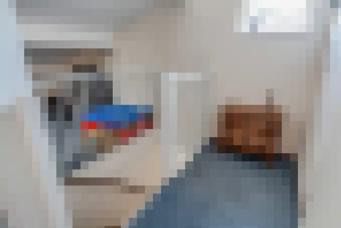 Meester Kroezestraat 10 Vollenhove thumbnail 32