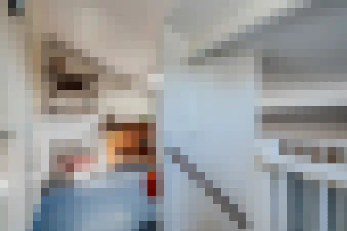 Meester Kroezestraat 10 Vollenhove thumbnail 33