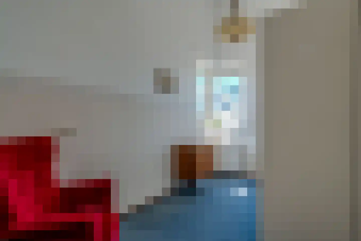 Meester Kroezestraat 10 Vollenhove thumbnail 36