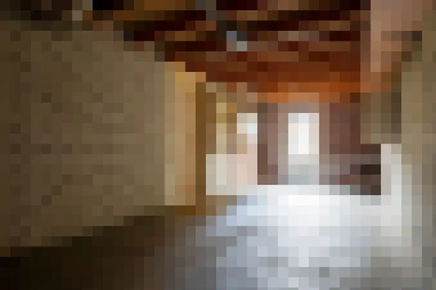 Meester Kroezestraat 13 Vollenhove thumbnail 21