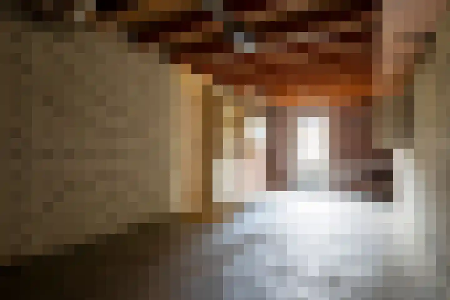 Meester Kroezestraat 13 Vollenhove thumbnail 21