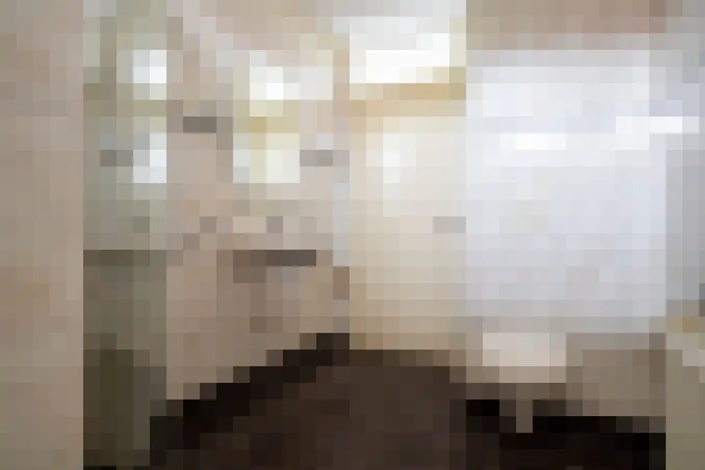 Meester Kroezestraat 13 Vollenhove thumbnail 33