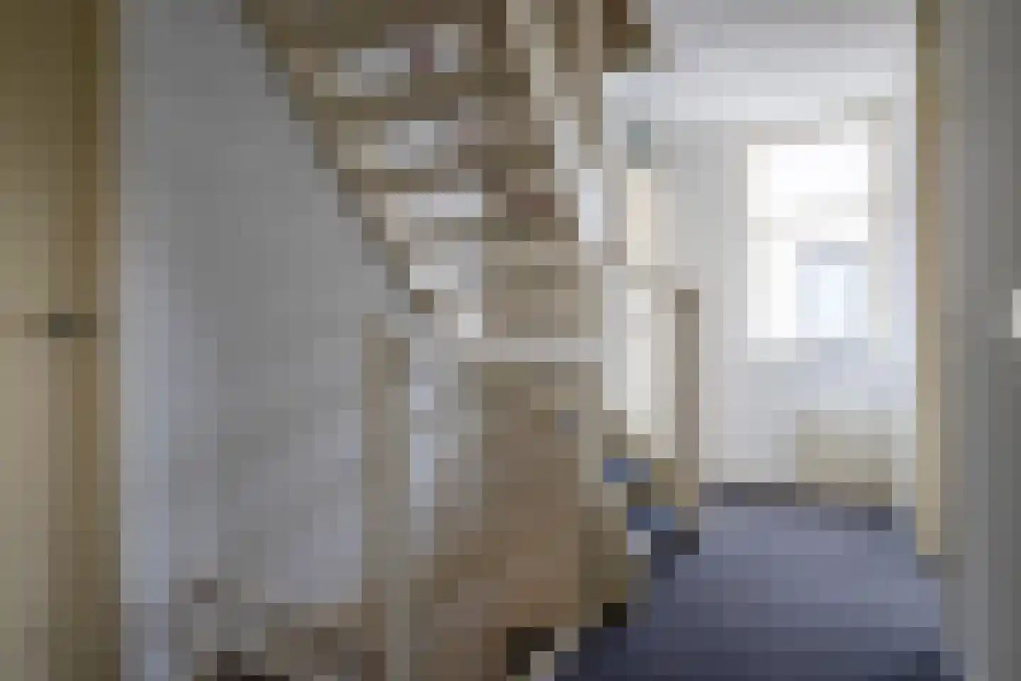 Meester Kroezestraat 13 Vollenhove thumbnail 35