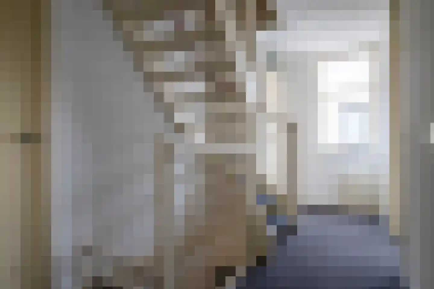 Meester Kroezestraat 13 Vollenhove thumbnail 35