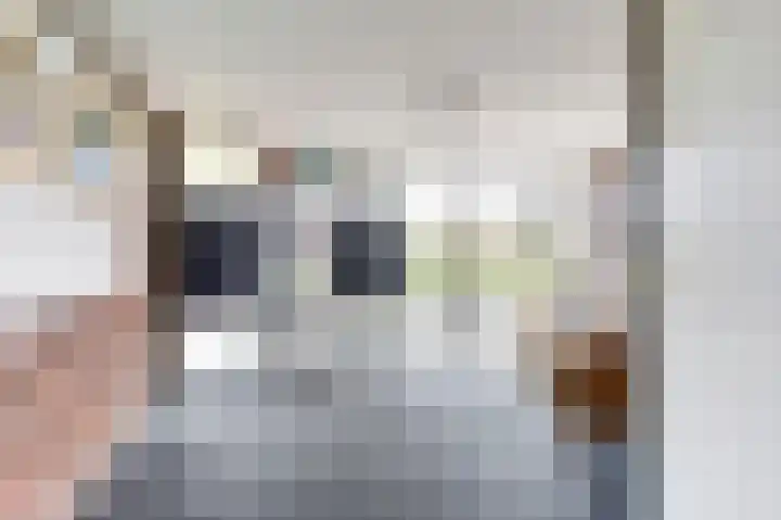 Meester Kroezestraat 34 Vollenhove thumbnail 5