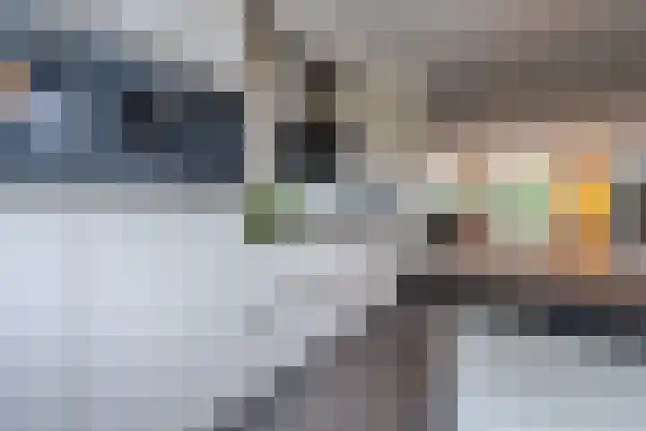 Meester Lasterielaan 6 Den Dolder thumbnail 14