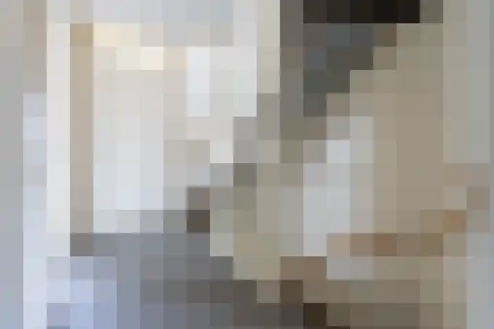 Meester Lasterielaan 6 Den Dolder thumbnail 17