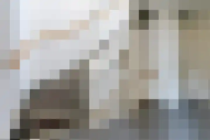 Meester Lasterielaan 6 Den Dolder thumbnail 24