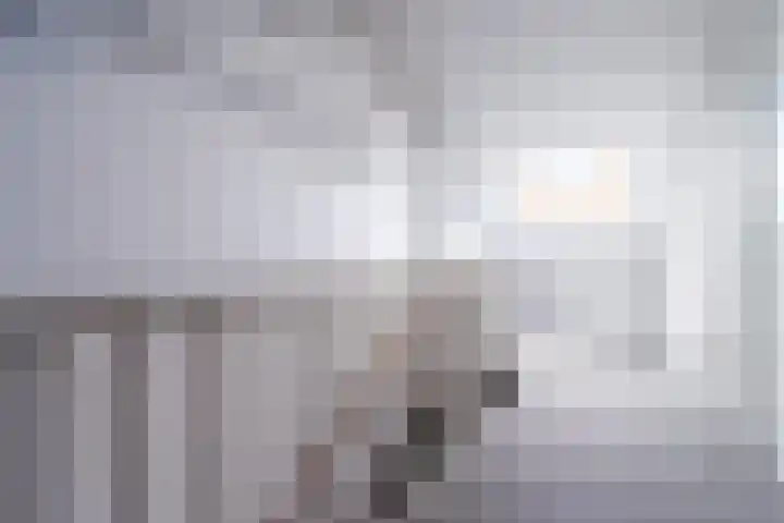 Meester Lasterielaan 6 Den Dolder thumbnail 25