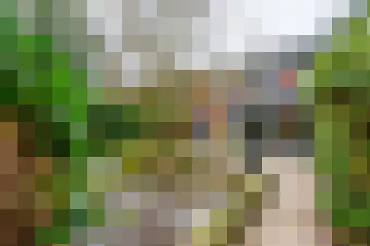 Meester Lasterielaan 6 Den Dolder thumbnail 29