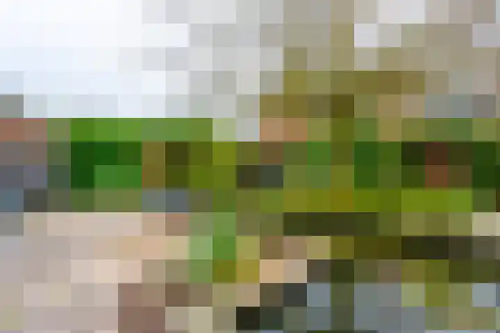 Meester Lasterielaan 6 Den Dolder thumbnail 30