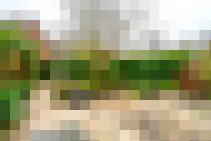 Meester Lasterielaan 6 Den Dolder thumbnail 31