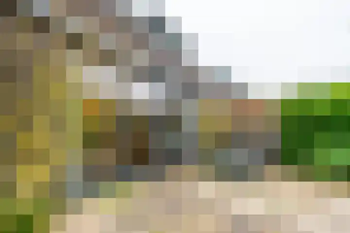 Meester Lasterielaan 6 Den Dolder thumbnail 32