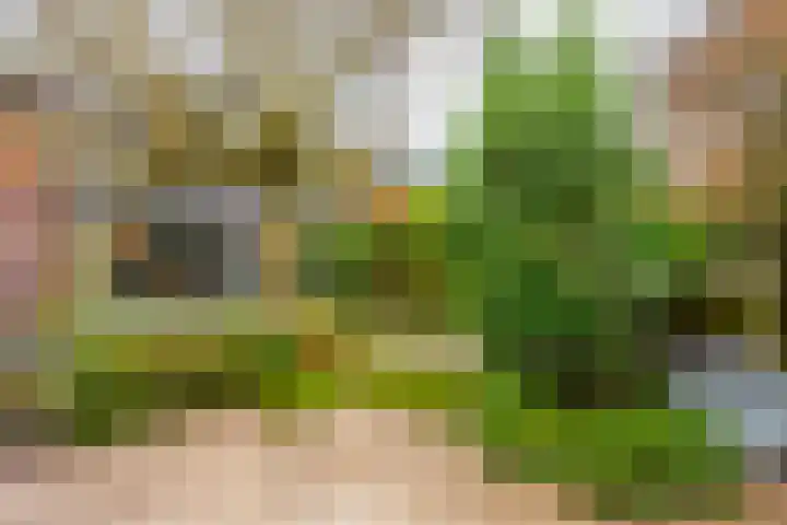 Meester Lasterielaan 6 Den Dolder thumbnail 33
