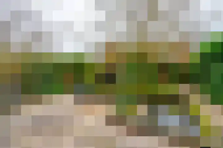 Meester Lasterielaan 6 Den Dolder thumbnail 34