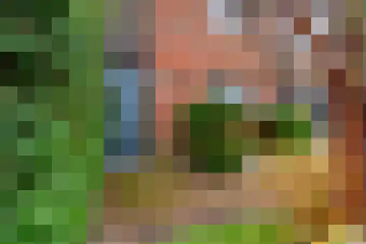 Meester Lasterielaan 6 Den Dolder thumbnail 35