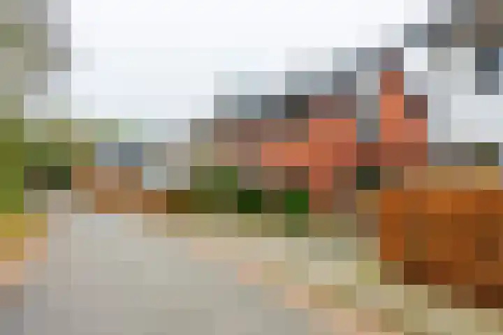 Meester Lasterielaan 6 Den Dolder thumbnail 36