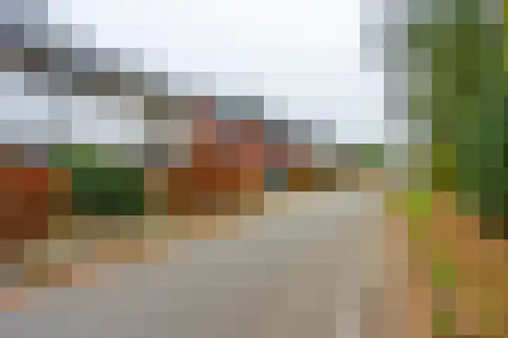 Meester Lasterielaan 6 Den Dolder thumbnail 37