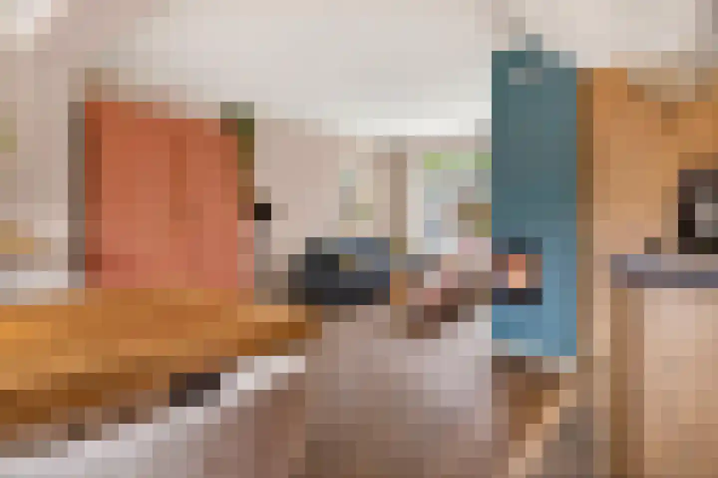 Meester Lazonderstraat 10 Denekamp thumbnail 19