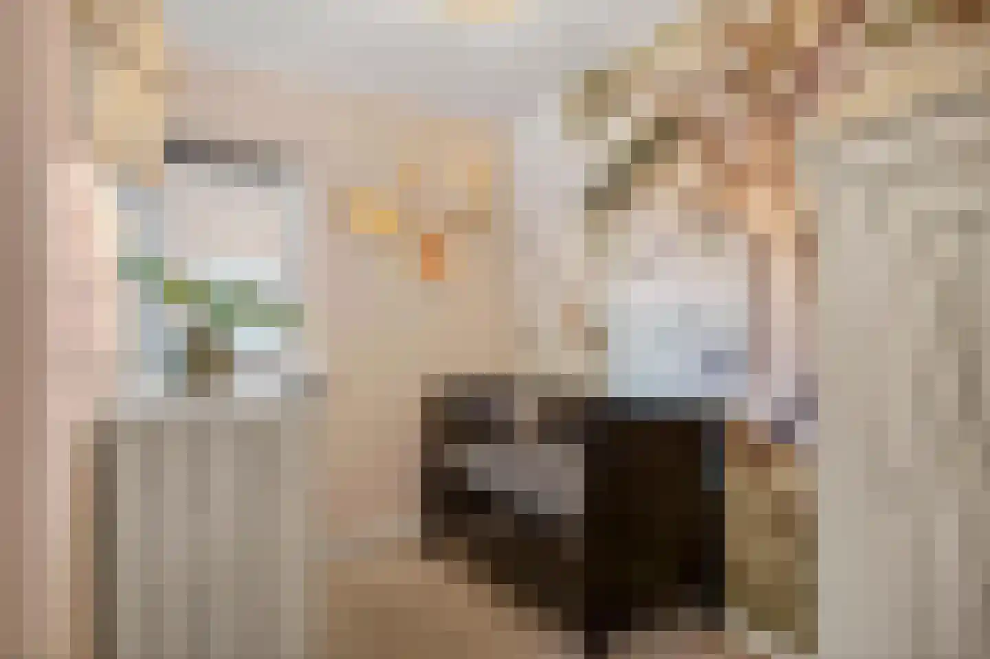 Meester Lazonderstraat 10 Denekamp thumbnail 26