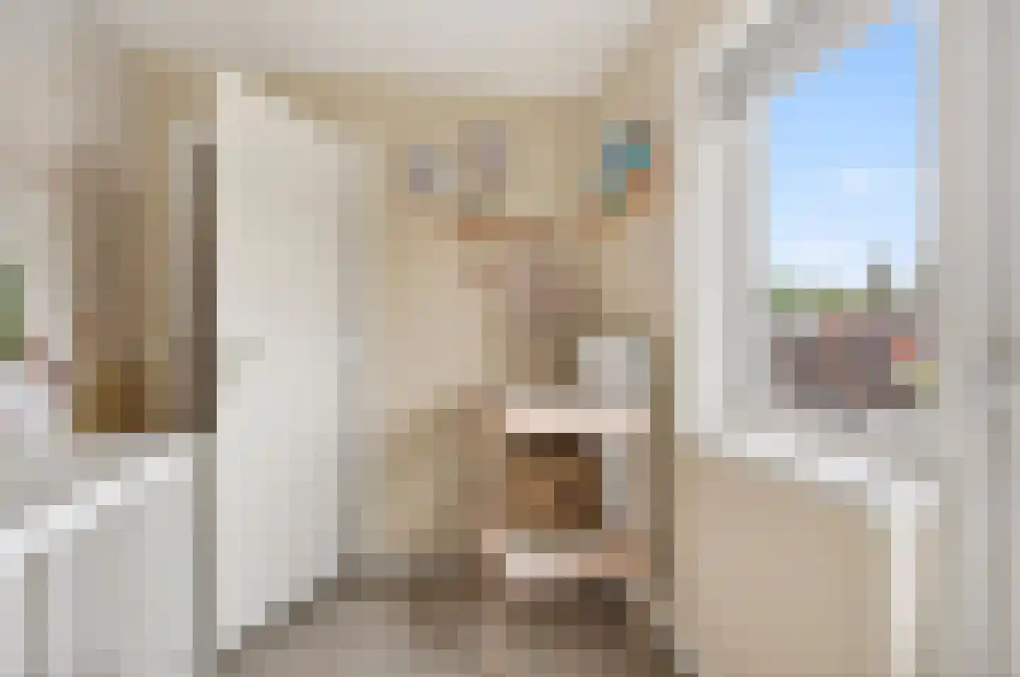 Meester Lazonderstraat 10 Denekamp thumbnail 27