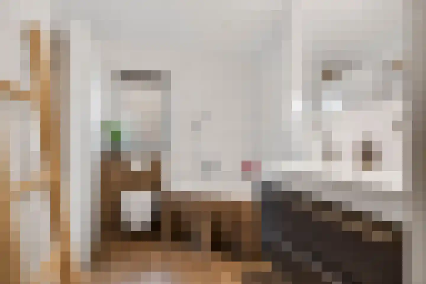 Meester Lazonderstraat 10 Denekamp thumbnail 28