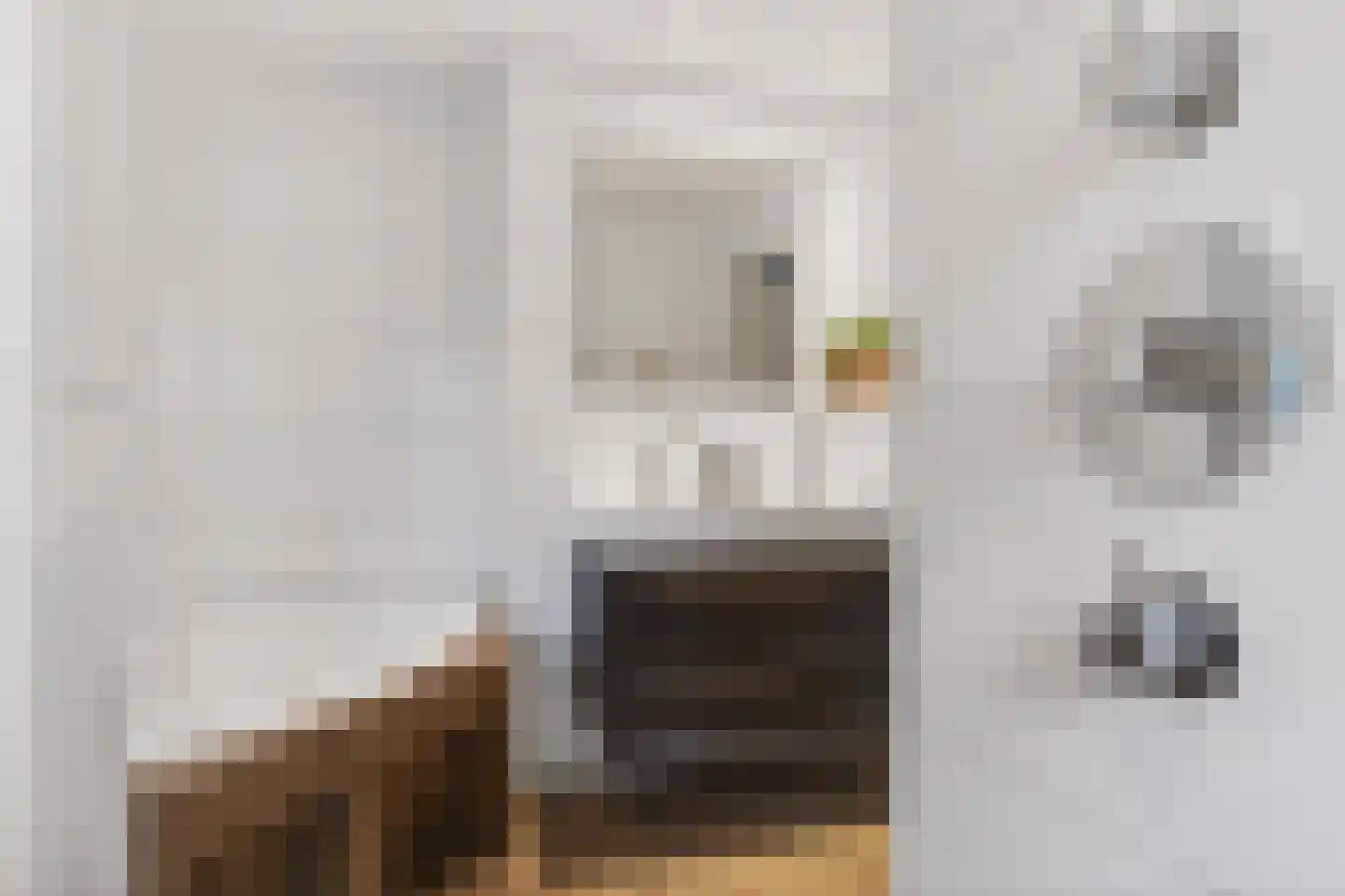 Meester Lazonderstraat 10 Denekamp thumbnail 29