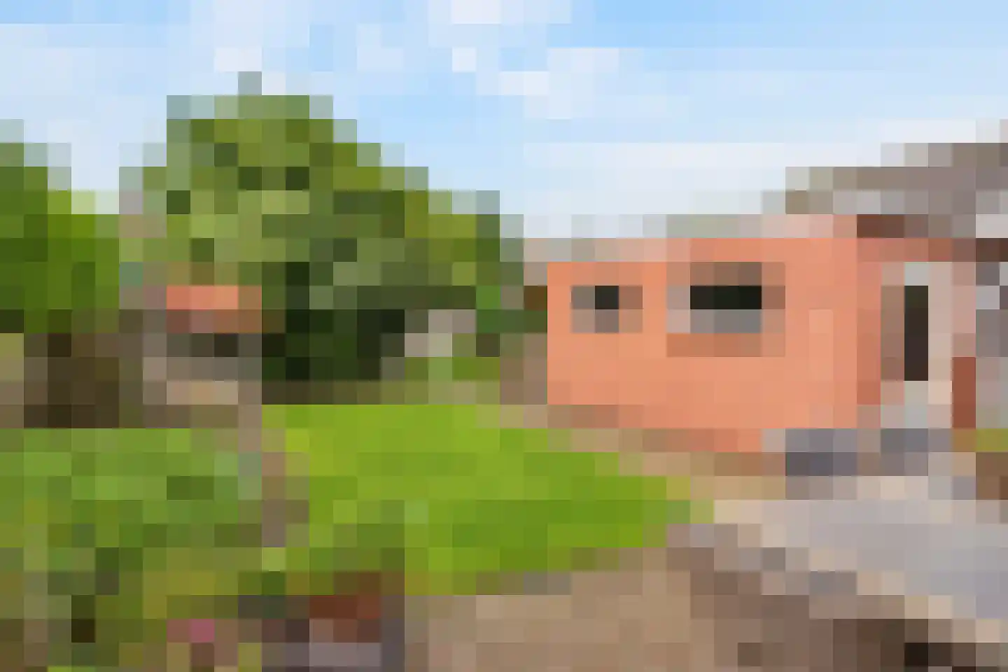 Meester Lazonderstraat 10 Denekamp thumbnail 31