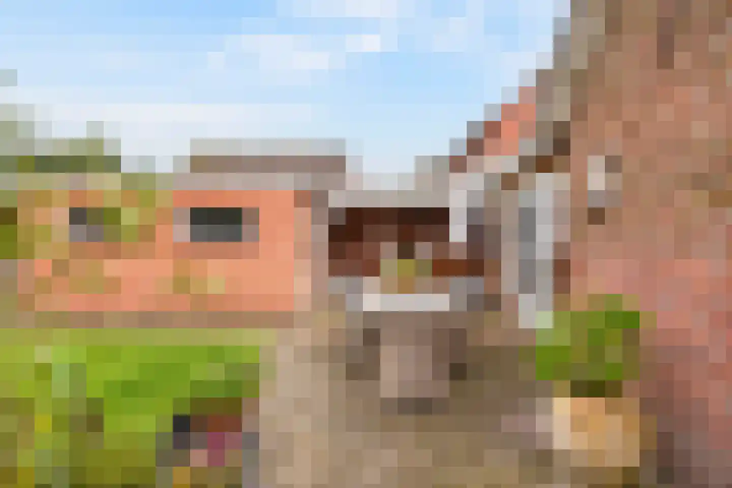 Meester Lazonderstraat 10 Denekamp thumbnail 32