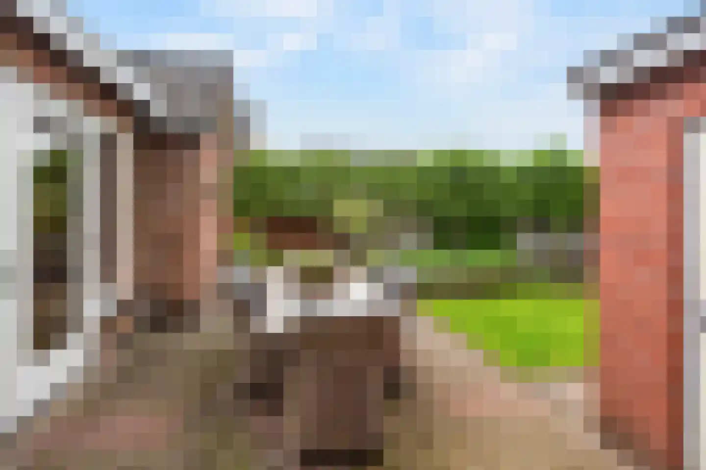 Meester Lazonderstraat 10 Denekamp thumbnail 33