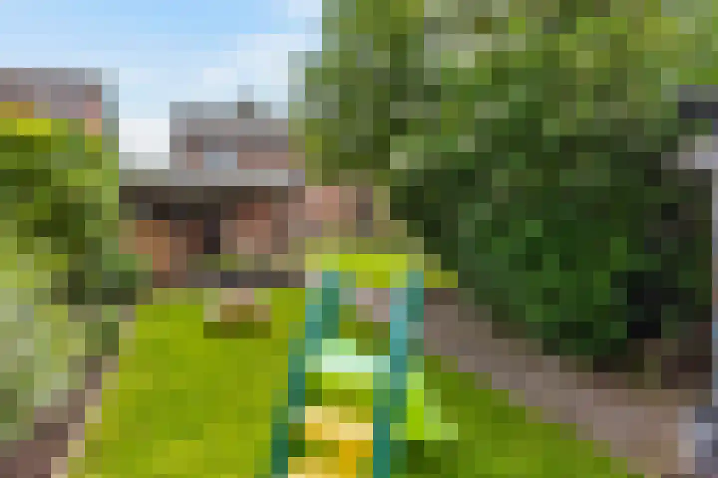 Meester Lazonderstraat 10 Denekamp thumbnail 36