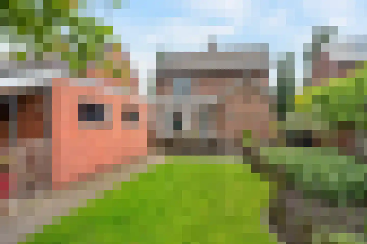 Meester Lazonderstraat 10 Denekamp thumbnail 38