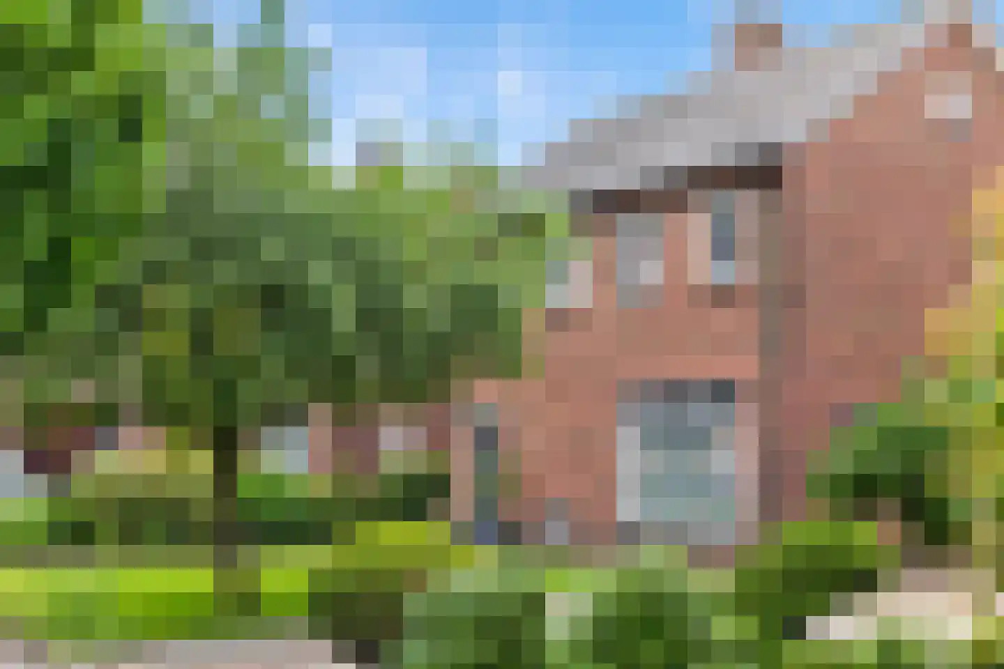 Meester Lazonderstraat 10 Denekamp thumbnail 41