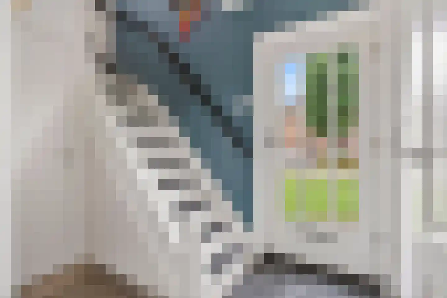 Meester Lazonderstraat 10 Denekamp thumbnail 6