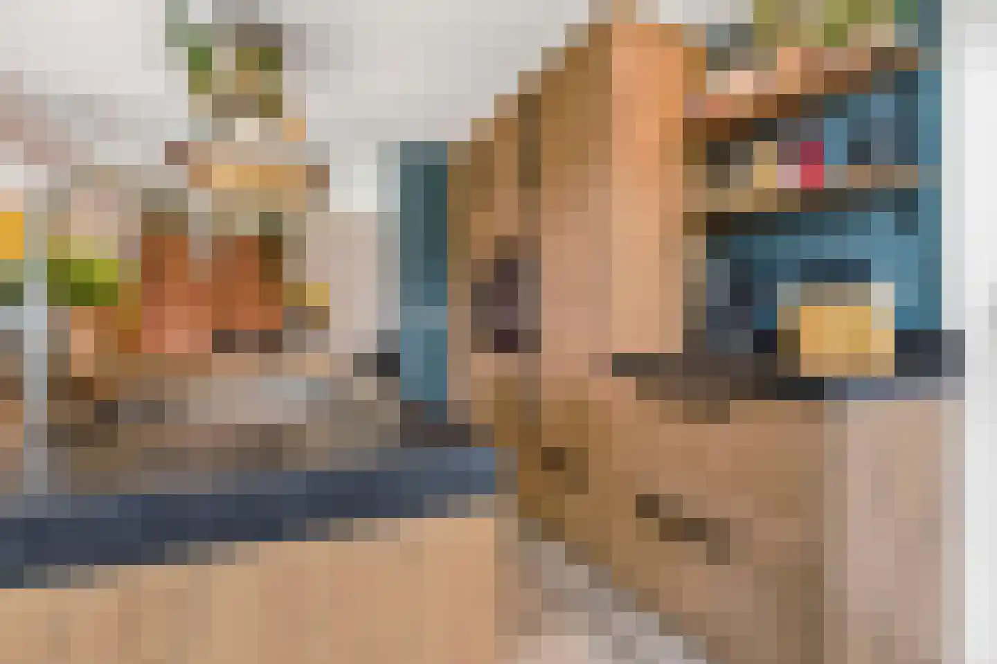 Meester Lazonderstraat 10 Denekamp thumbnail 8