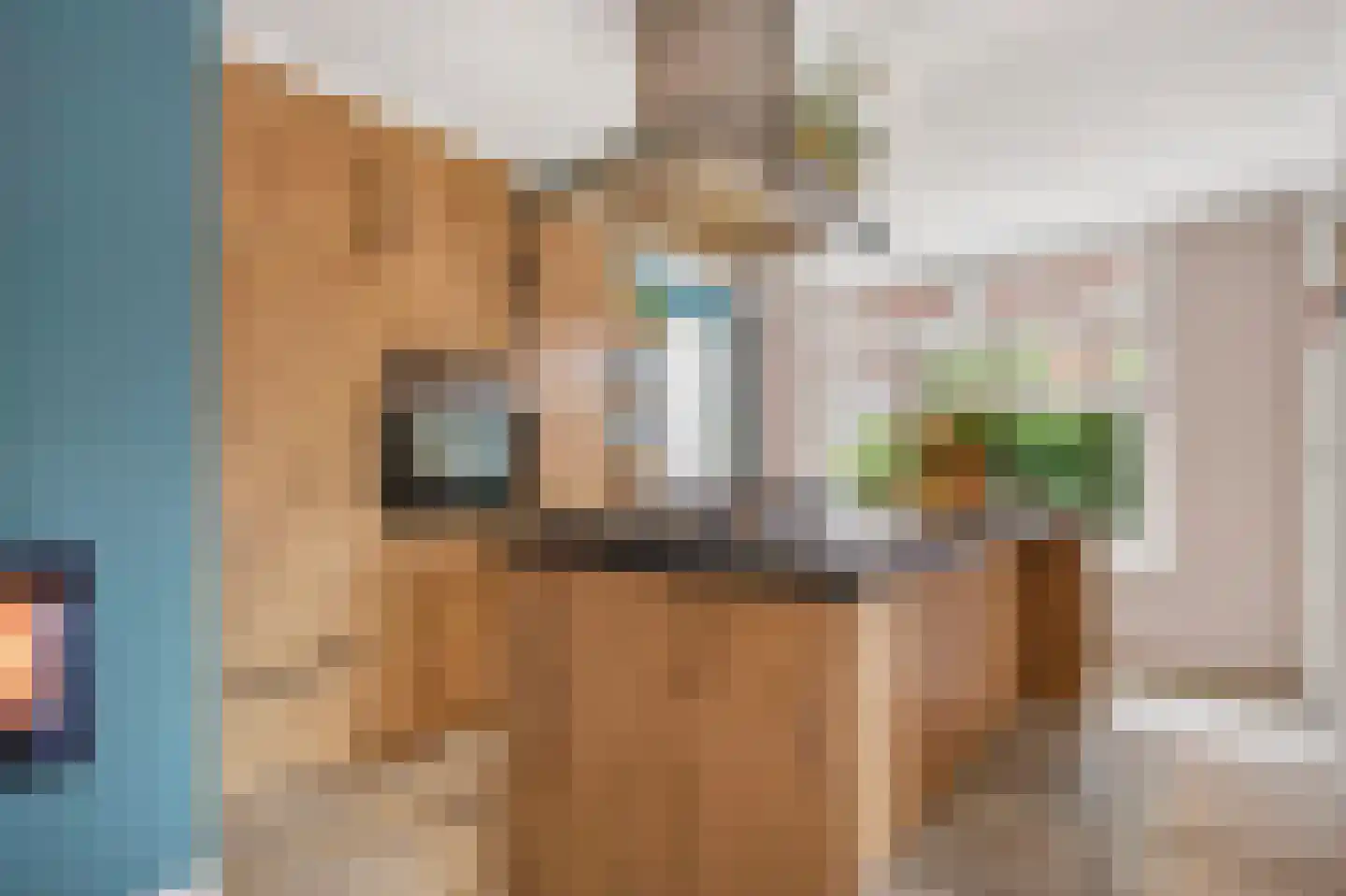 Meester Lazonderstraat 10 Denekamp thumbnail 9