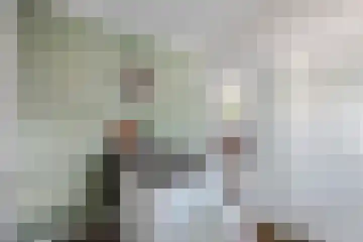 Meester Lazonderstraat 25 Denekamp thumbnail 10