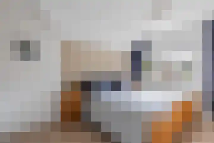 Meester Lazonderstraat 25 Denekamp thumbnail 14