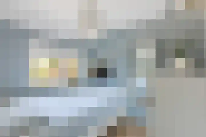 Meester Lazonderstraat 25 Denekamp thumbnail 16