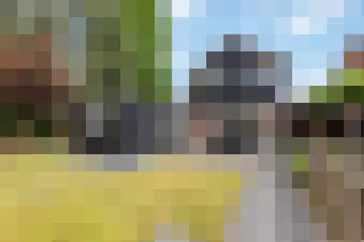 Meester Lazonderstraat 25 Denekamp thumbnail 18