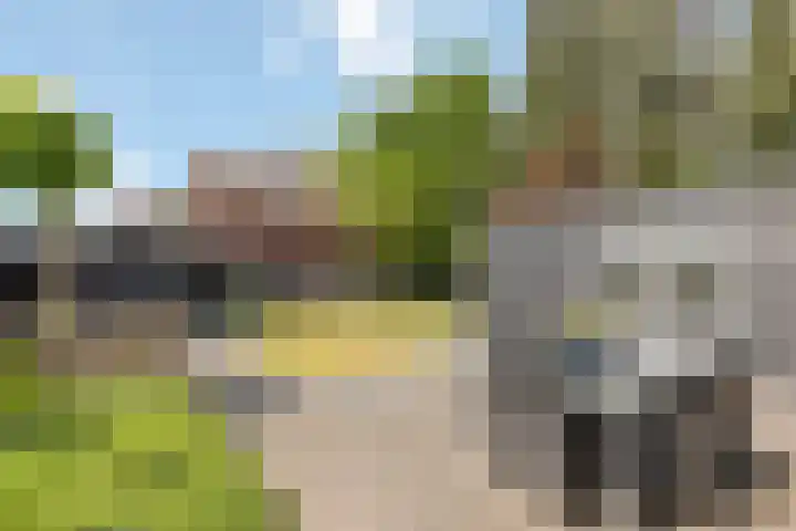 Meester Lazonderstraat 25 Denekamp thumbnail 19