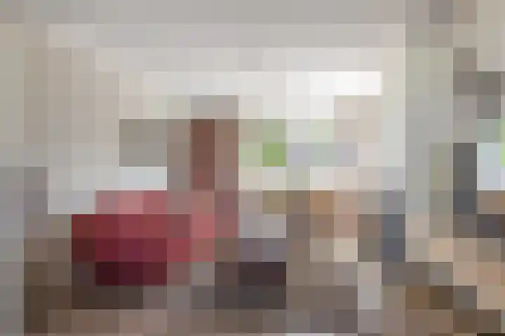 Meester Lazonderstraat 25 Denekamp thumbnail 7