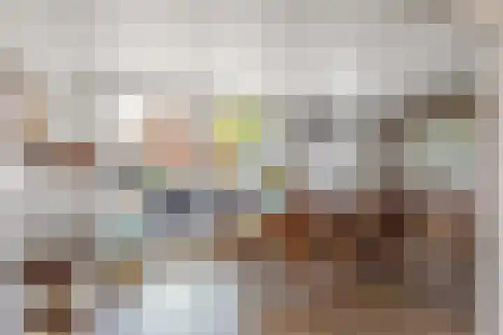 Meester Lazonderstraat 25 Denekamp thumbnail 9
