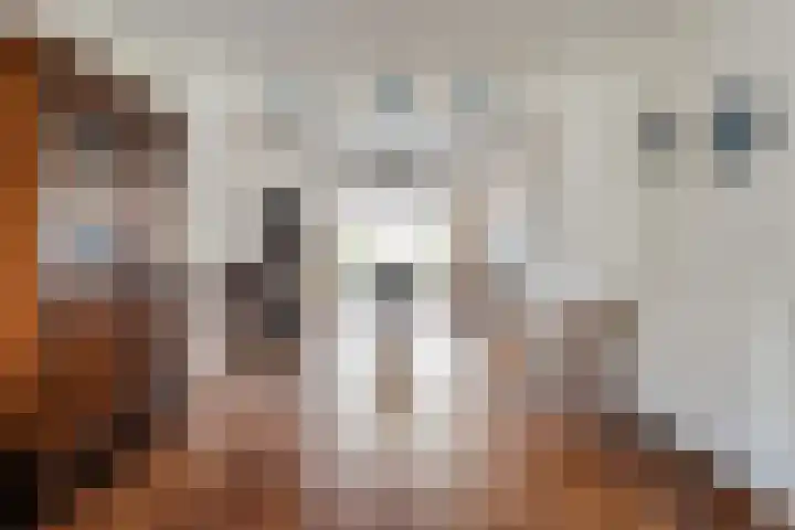Meester Lazonderstraat 30 Denekamp thumbnail 12