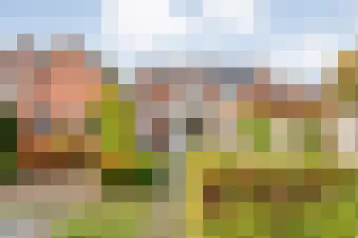 Meester Lazonderstraat 30 Denekamp thumbnail 23
