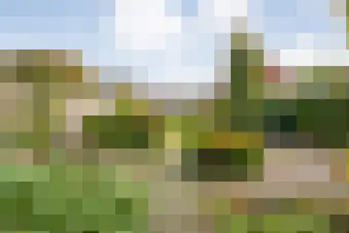 Meester Lazonderstraat 30 Denekamp thumbnail 25