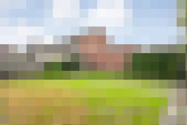 Meester Lazonderstraat 30 Denekamp thumbnail 26