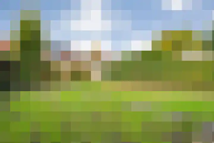 Meester Lazonderstraat 30 Denekamp thumbnail 27